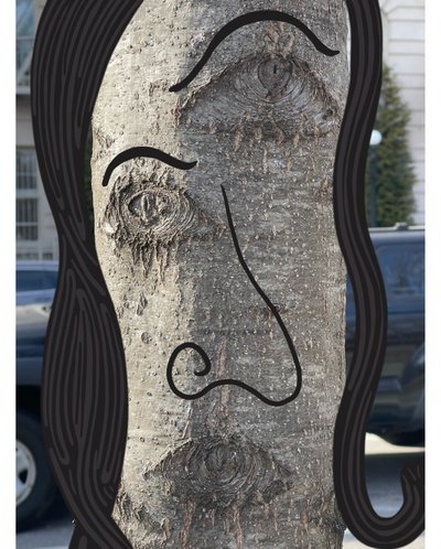 Illustration of Tree Face Using Photography and Drawing, Brooklyn by Evan Sklar