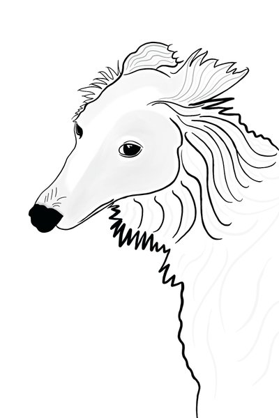 Line Drawing of Silken Windhound by Evan Sklar