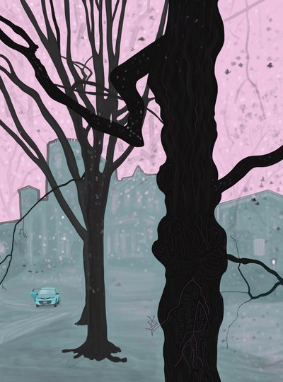 Old Tree, Old House and Car, Brooklyn by Evan Sklar