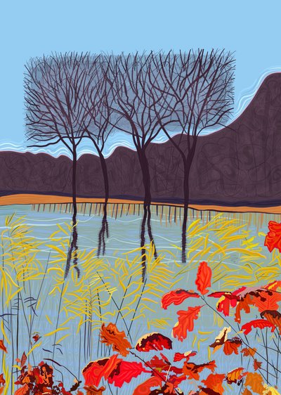 Pond and Trees In Autumn by Evan Sklar