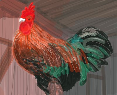 Rooster in Barn, 2018 by Evan Sklar