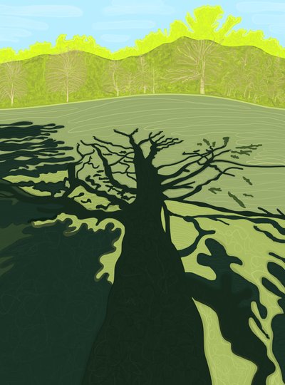 Shadow of Tree On Field, Brooklyn by Evan Sklar