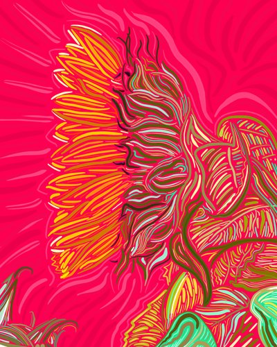 Single Sunflower by Evan Sklar