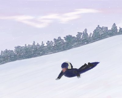 Sledding, Hudson Valley by Evan Sklar