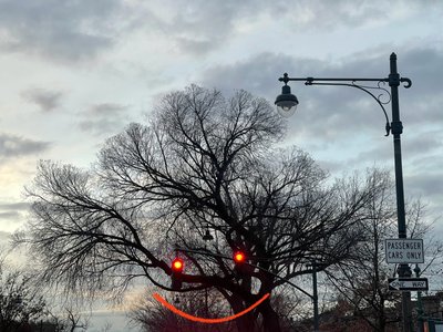 Smiling Tree and Traffic Lights, Brooklyn by Evan Sklar