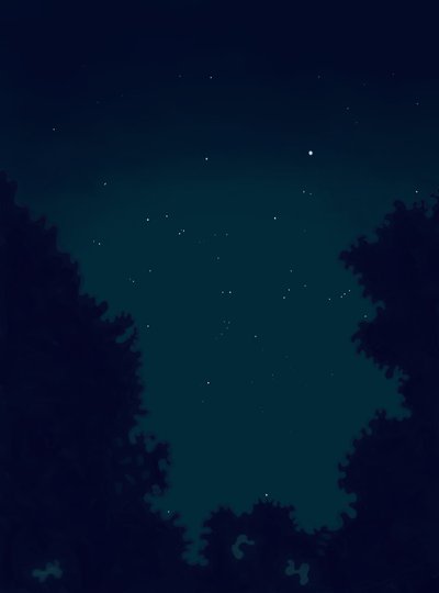 Stars in the Sky at Night and Outline of Trees by Evan Sklar