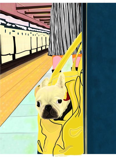 Subway Commuter with Dog In Bag, Brooklyn by Evan Sklar