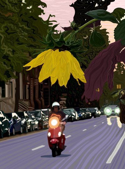Sunflower and Man Driving Red Scooter by Evan Sklar