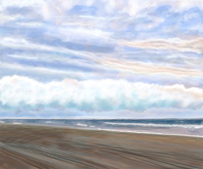 Swan Beach by Evan Sklar