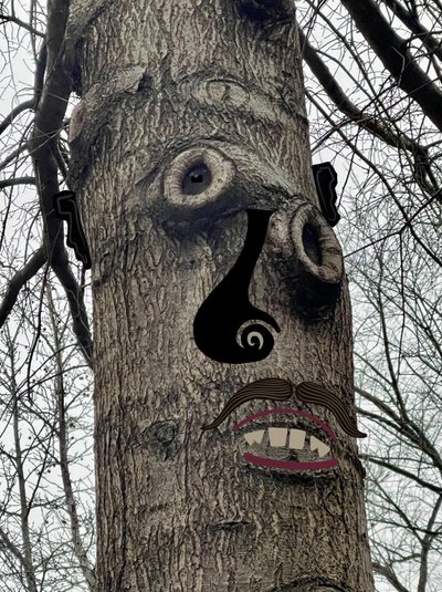 Tree Face by Evan Sklar