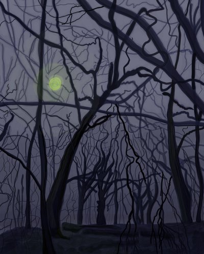 Trees by Evan Sklar