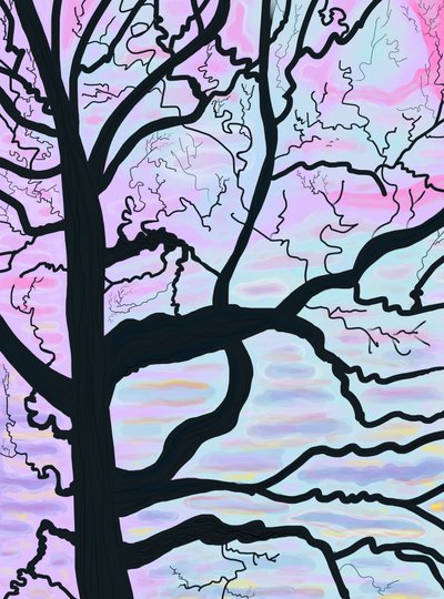 Trees and Branches at Dawn, France by Evan Sklar