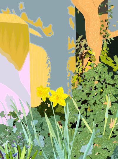 Two Daffodils, c.2020-24 by Evan Sklar