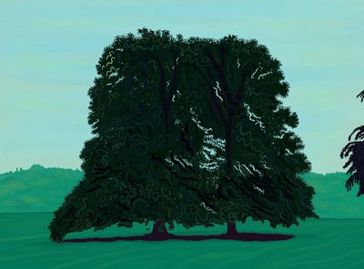 Two Linden Trees in Field by Evan Sklar