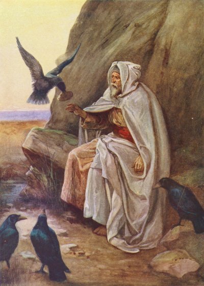 The Birds That Shared Their Food by Evelyn Stuart Hardy