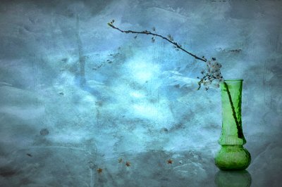 Quiet Blue Blossoms by Eyal Amer