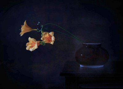 Dark Floral Glow by Fangping Zhou