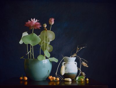 Pink Lotus Still Life by Fangping Zhou