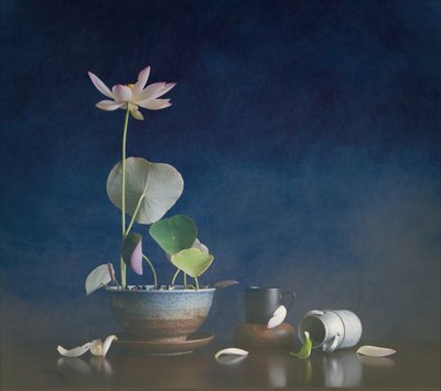 Serene Lotus Still Life by Fangping Zhou