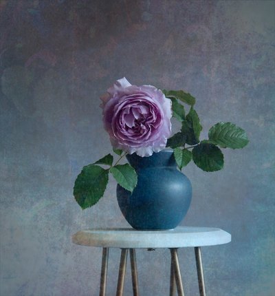 Serene Purple Rose by Fangping Zhou