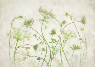 Soft Green Botanicals by Fangping Zhou