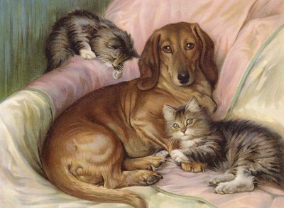 Playmates - dog and two cats, sitting on a sofa by Fannie Moody