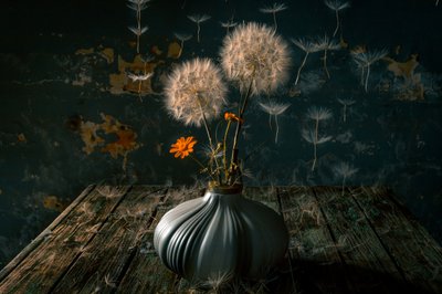 Moody Dandelion Still Life by Farid Kazamil
