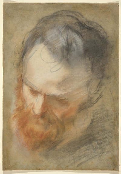 Head of a Bearded Man by Federico Barocci
