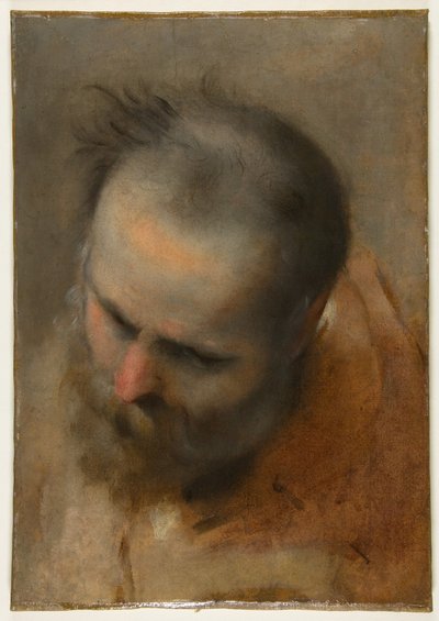 Head of a Bearded Man Looking to Lower Left (Nicodemus) by Federico Barocci