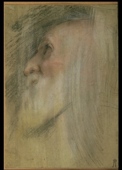 Head of an Old Man in Profile, c.1575-9 by Federico Barocci