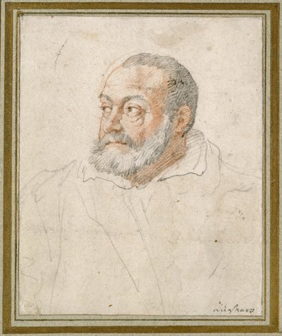 Portrait of a Man by Federico Zuccaro