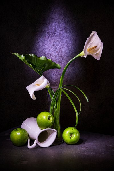 Elegant Calla Lilies and Green Apples by Felice Angelino
