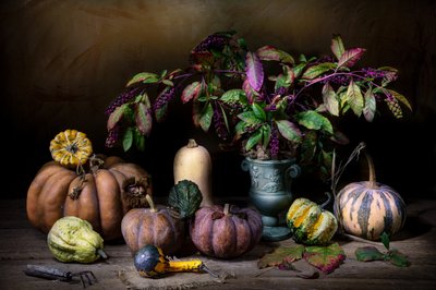 Moody Autumn Harvest by Felice Angelino