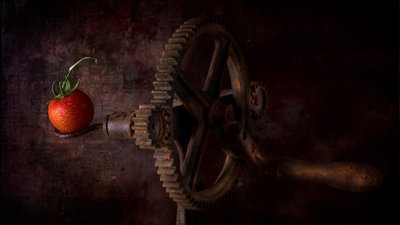 Rustic Tomato Gear by Felice Angelino