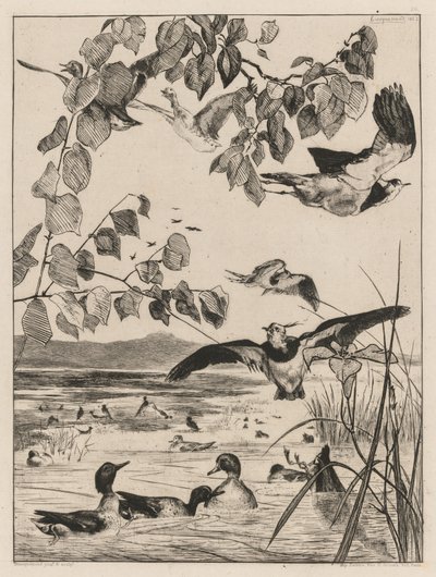 Lapwings and Teals by Felix Bracquemond