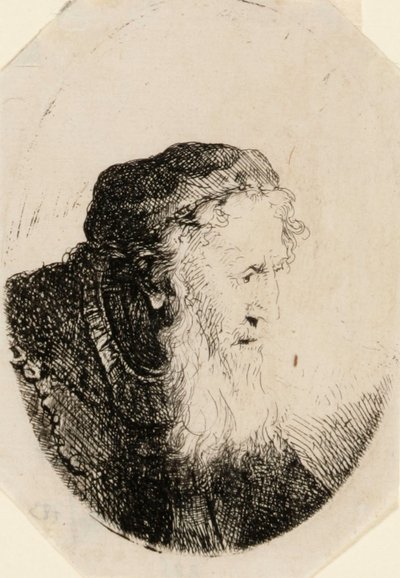 Old Man with Flowing Beard by Ferdinand Bol