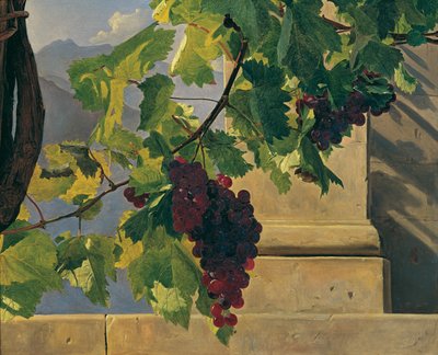 Trailing Grapes by Ferdinand Georg Waldmüller