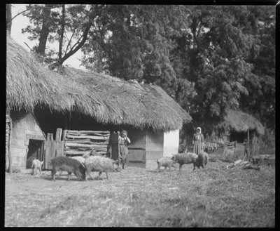 Stable in Semere by Ferdinand Schmutzer