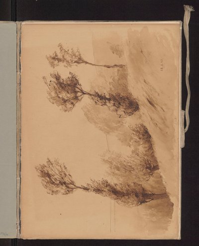 Trees on a Hill Swayed by the Wind by Ferdynand Ruszczyc