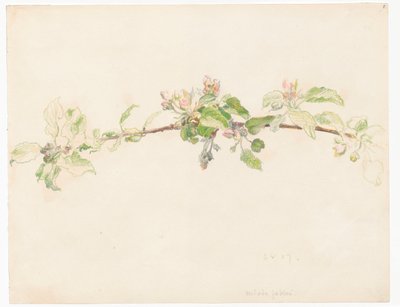 Branch of a Flowering Apple Tree by Ferdynand Ruszczyc