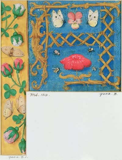 Illuminated letter `A and side border of flowers, from a Book of Hours by Flemish School