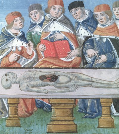 Dissection, from De Medina Fen I. II, by Avicenna (980-1037) by Flemish School