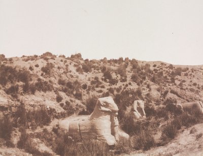 Sphinxes with a Human Head and with a Ram Head at Point Y. Karnak Thebes, 1851-1852 by Félix Teynard