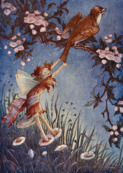 She pulled the tail of the Nightingale by Flora White