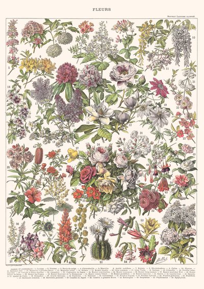 Fleurs II - ASTER EDITION, 2023 by Florent Bodart