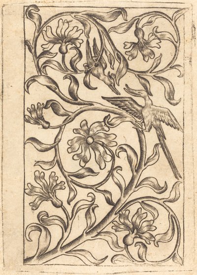 Vine Ornament with Two Birds by Follower of Master of the Playing Cards