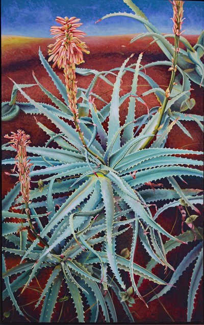 Aloe by Frances Ferdinands