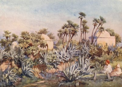 Koubba of Sidi Noumann, Bouzareah by Frances Nesbitt