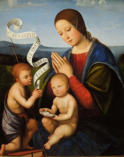 The Virgin and Child with St John by Francesco Francia