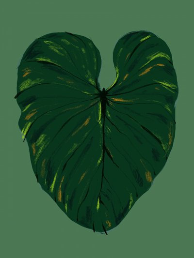 Dark Green Tropical Leaf by Francesco Gulina